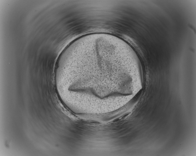 X0000099431236200806061011