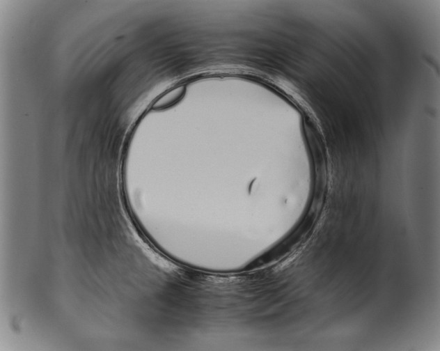 X0000099431237200806061011