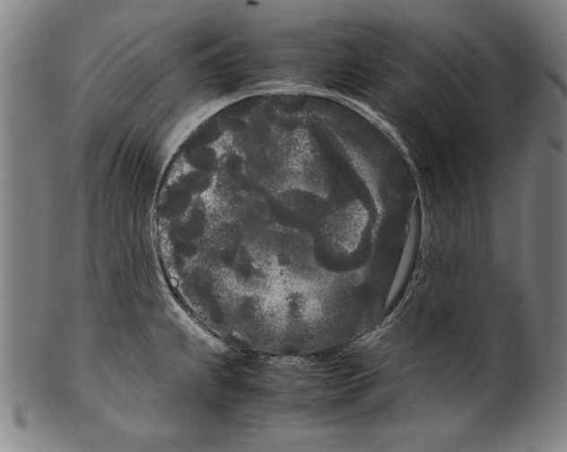 X0000099431239200806061011