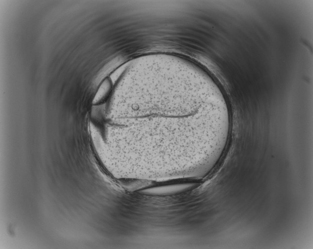 X0000099431241200806061011