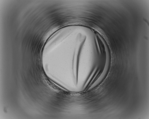 X0000099431242200806061011