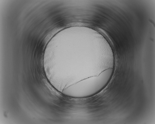 X0000099431244200806061011