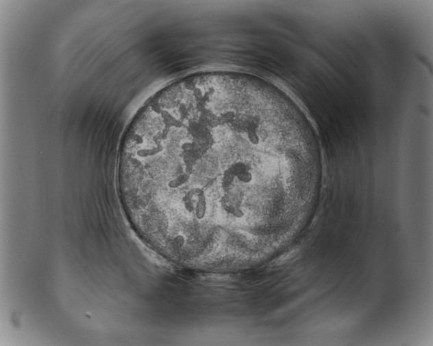 X0000099431245200806061011