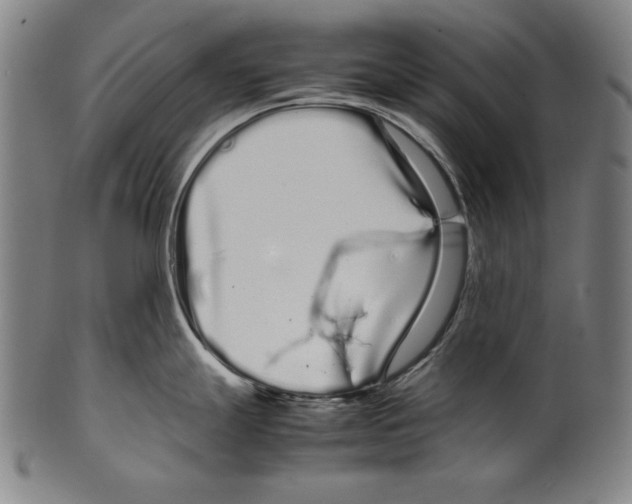 X0000099431247200806061011