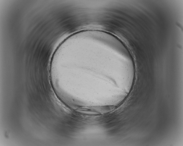 X0000099431248200806061011