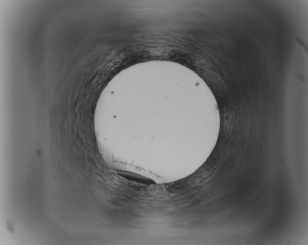 X0000099431249200806061010