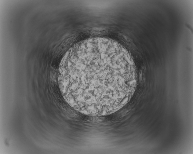 X0000099431251200806061010