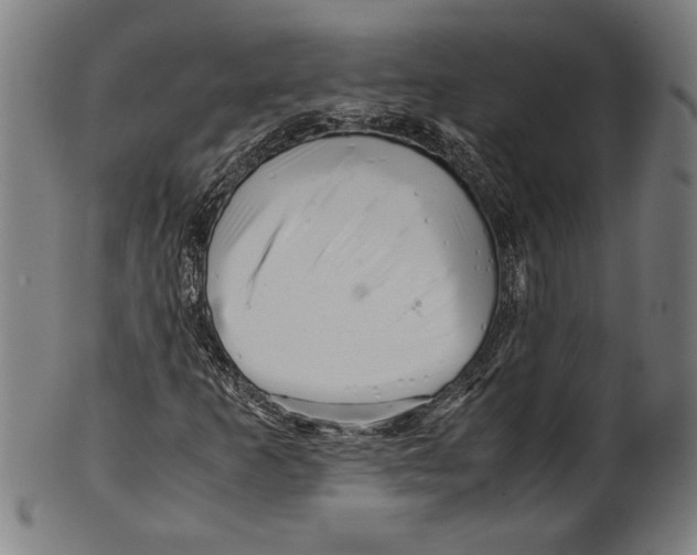 X0000099431253200806061010