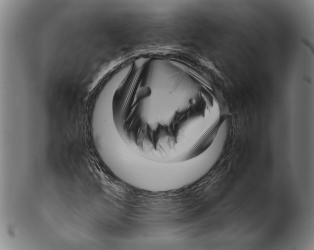 X0000099431256200806061010