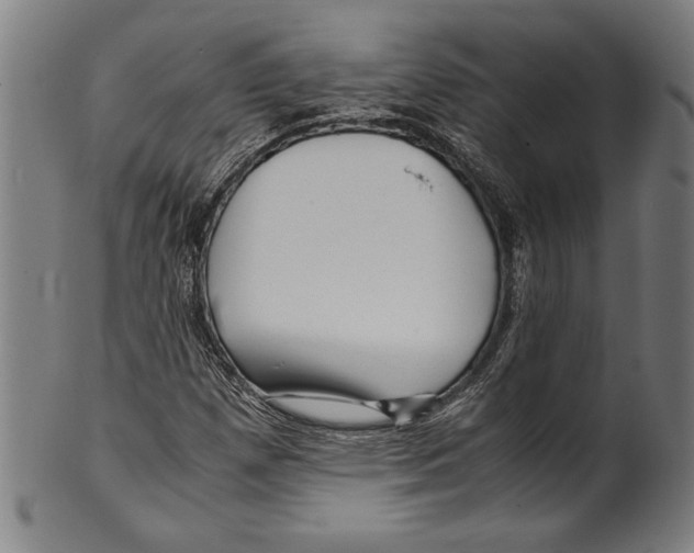 X0000099431257200806061010