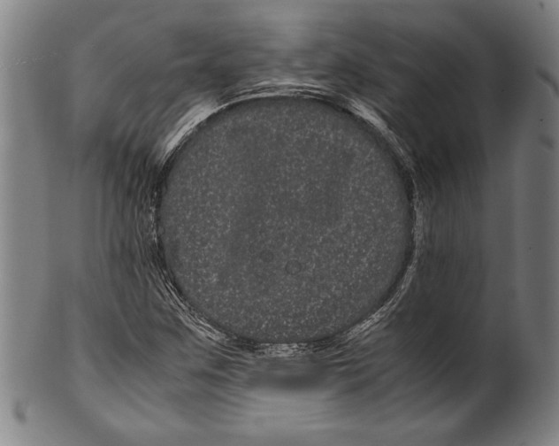 X0000099431259200806061010