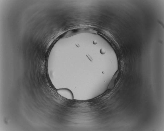 X0000099431260200806061010