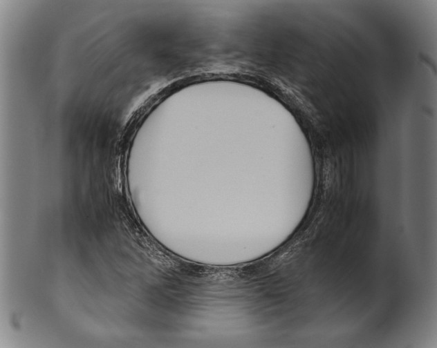 X0000099431262200806061010