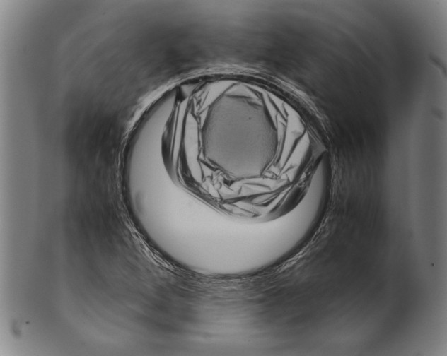 X0000099431264200806061010