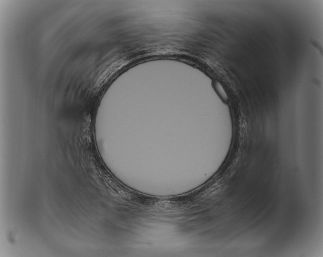 X0000099431265200806061010