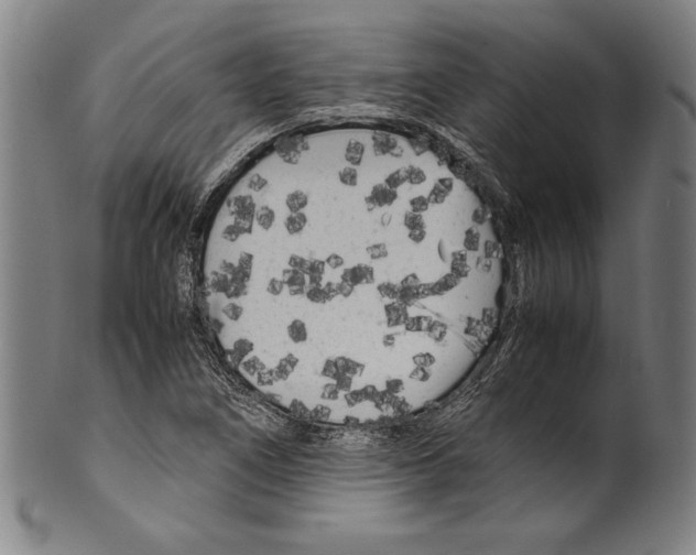 X0000099431266200806061010