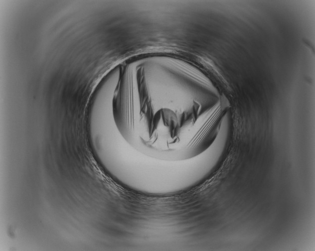 X0000099431268200806061010