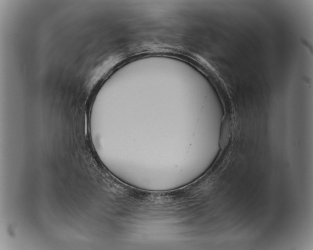 X0000099431269200806061010