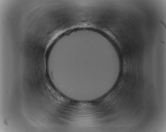 X0000099431270200806061010