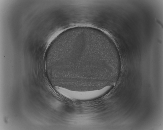 X0000099431271200806061010