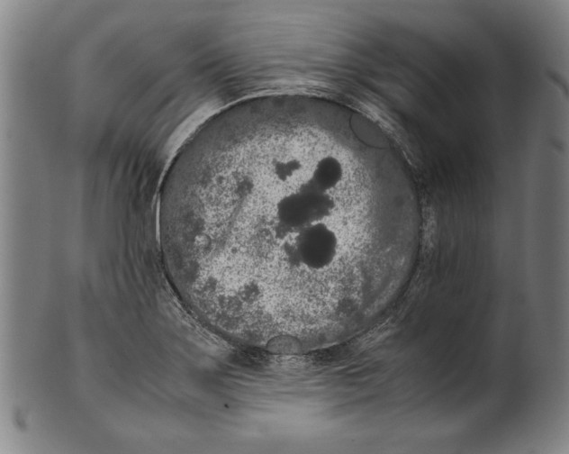 X0000099431275200806061010