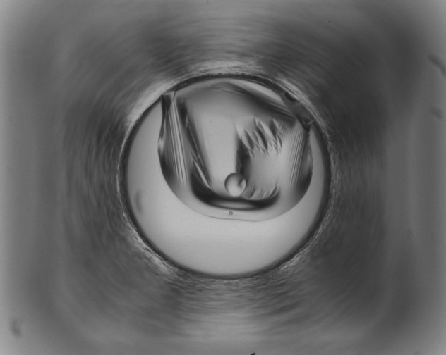 X0000099431277200806061010