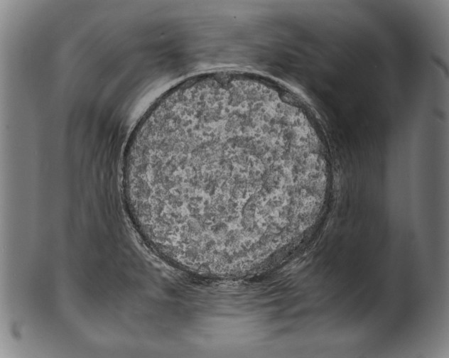 X0000099431279200806061010