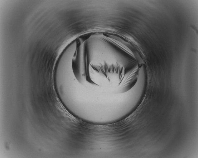 X0000099431280200806061010