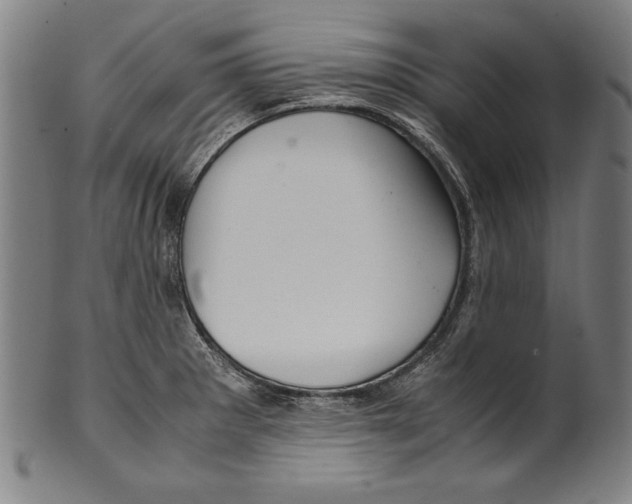 X0000099431281200806061010