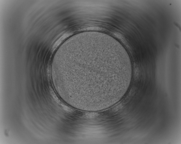 X0000099431282200806061010