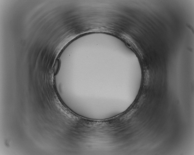 X0000099431284200806061010