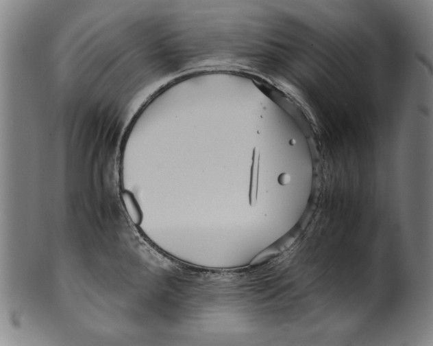 X0000099431288200806061010