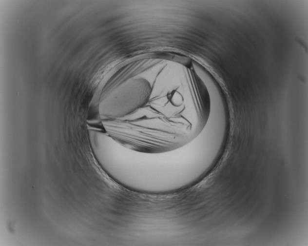 X0000099431289200806061010