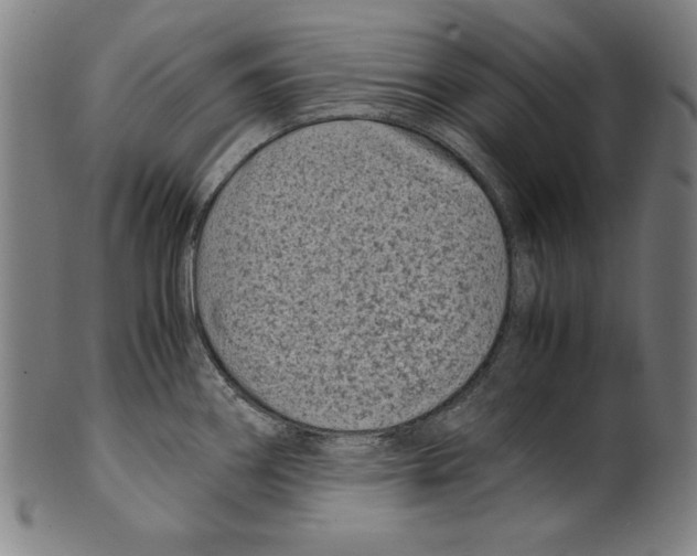 X0000099431290200806061010