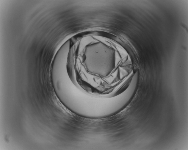 X0000099431292200806061010