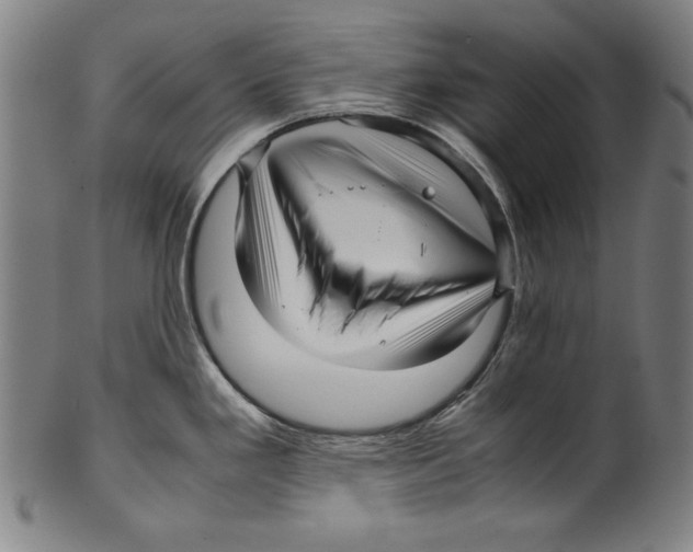 X0000099431293200806061010