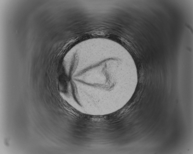 X0000099431297200806061009