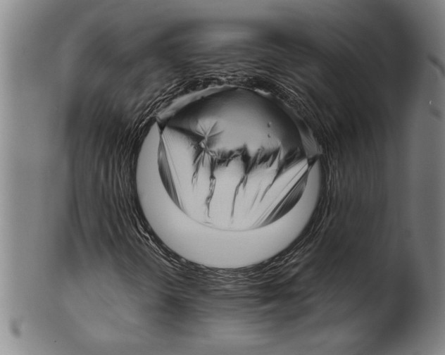 X0000099431298200806061009