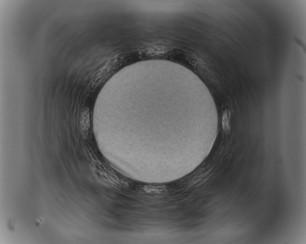 X0000099431299200806061009