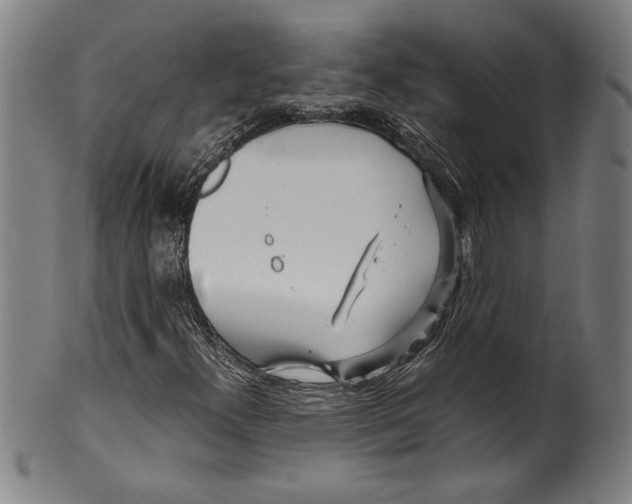 X0000099431300200806061009