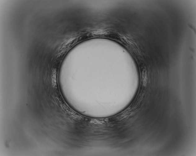 X0000099431301200806061009