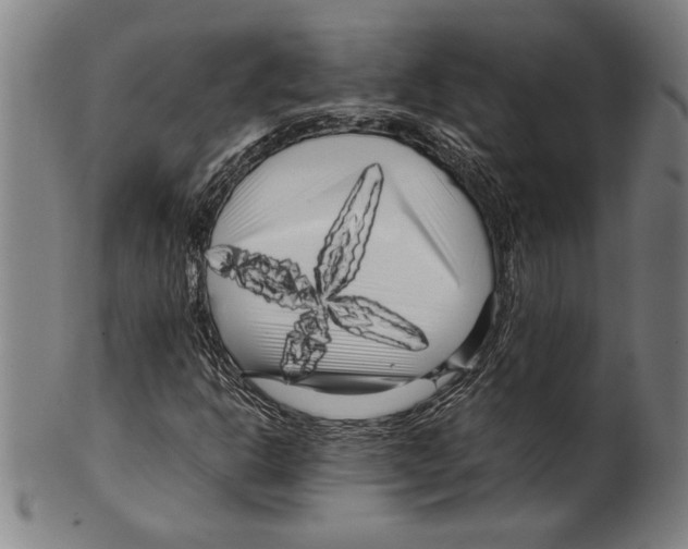 X0000099431302200806061009