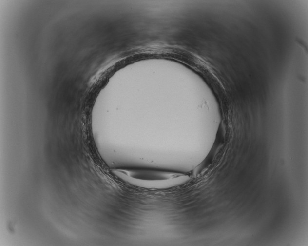 X0000099431304200806061009