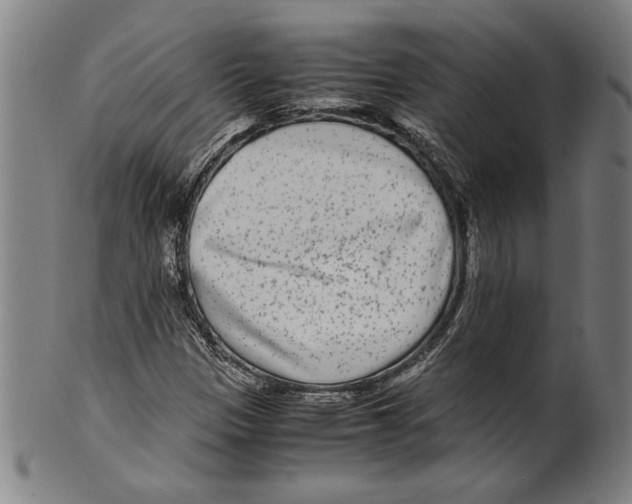 X0000099431305200806061009