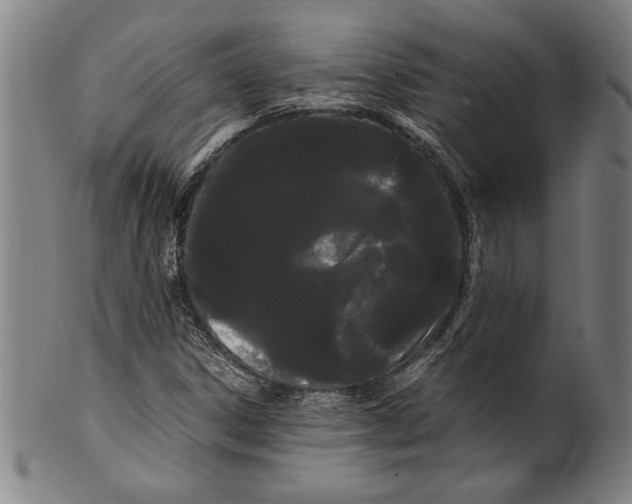 X0000099431306200806061009