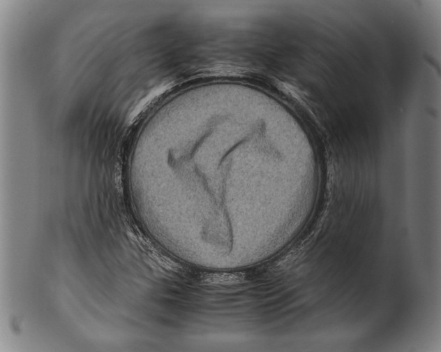 X0000099431307200806061009