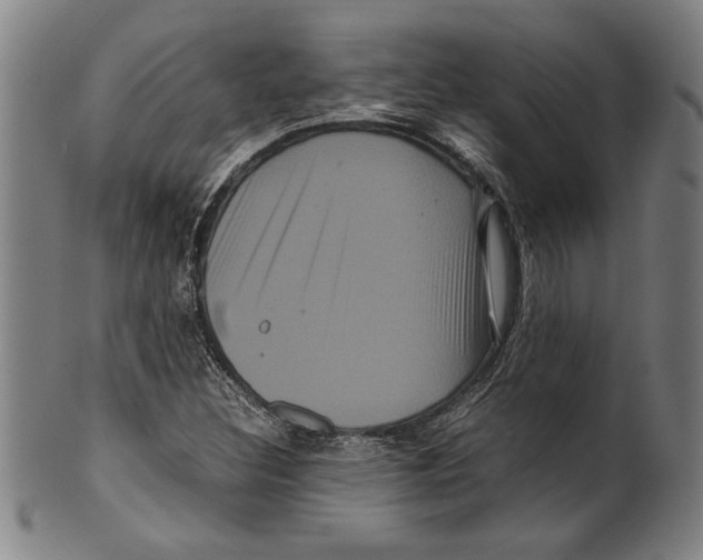 X0000099431308200806061009