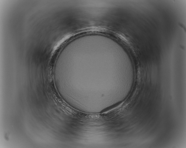 X0000099431310200806061009