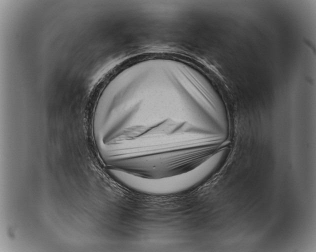 X0000099431311200806061009