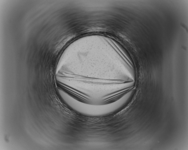 X0000099431313200806061009